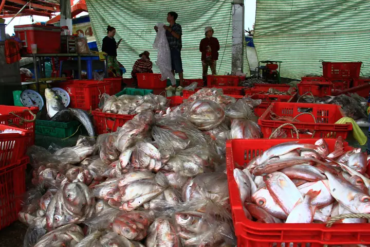 cảng cá tắc cậu kiên giang