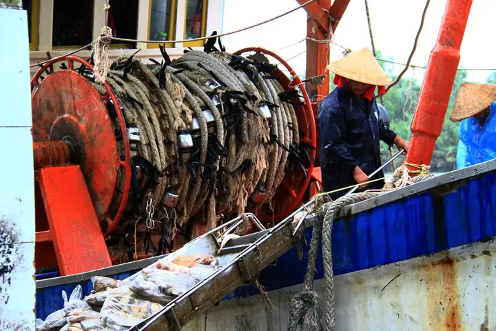 cảng cá tắc cậu kiên giang