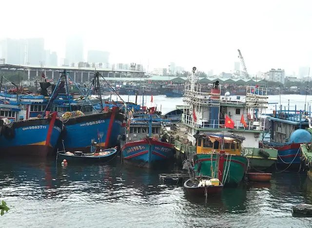 cảng cá thọ quang