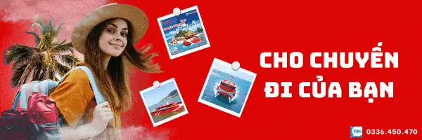 cảng cá trần đề