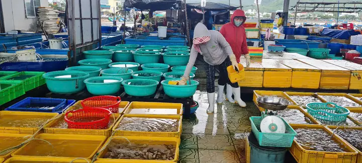 cảng cá vĩnh lương