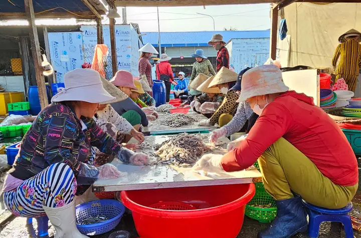 cảng cá vĩnh trường