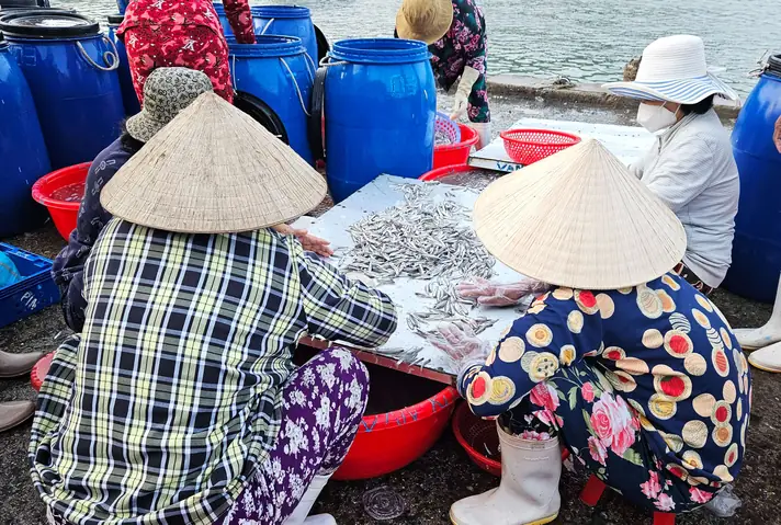 cảng cá vĩnh trường