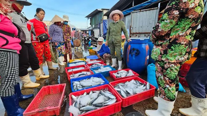 cảng cá vĩnh trường