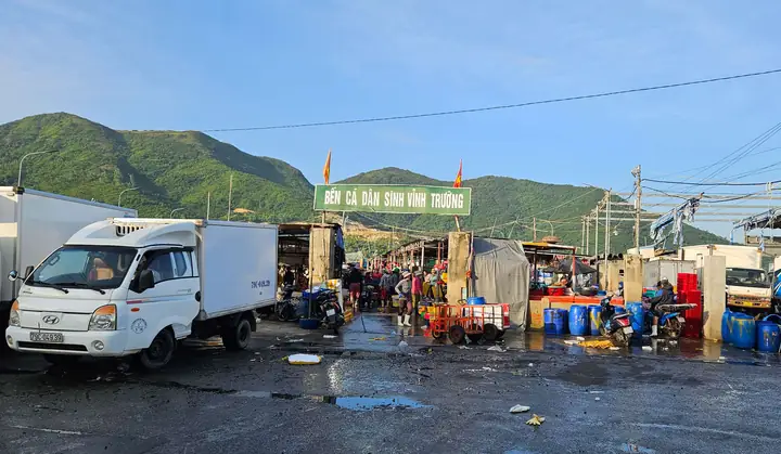 cảng cá vĩnh trường