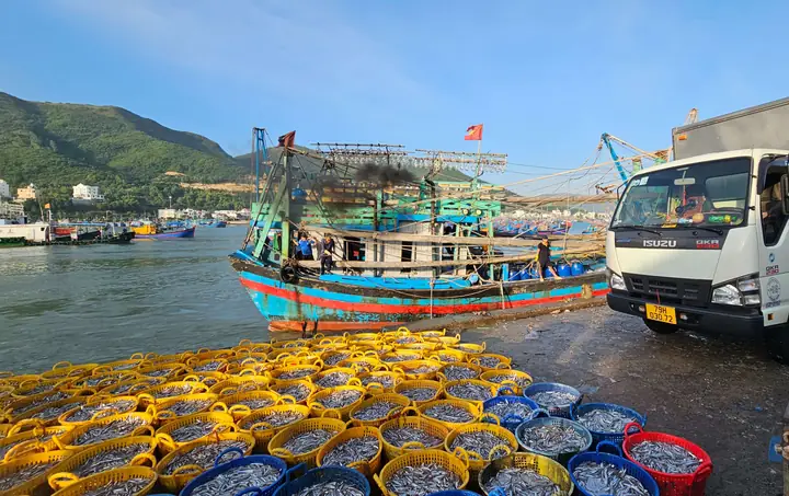 cảng cá vĩnh trường