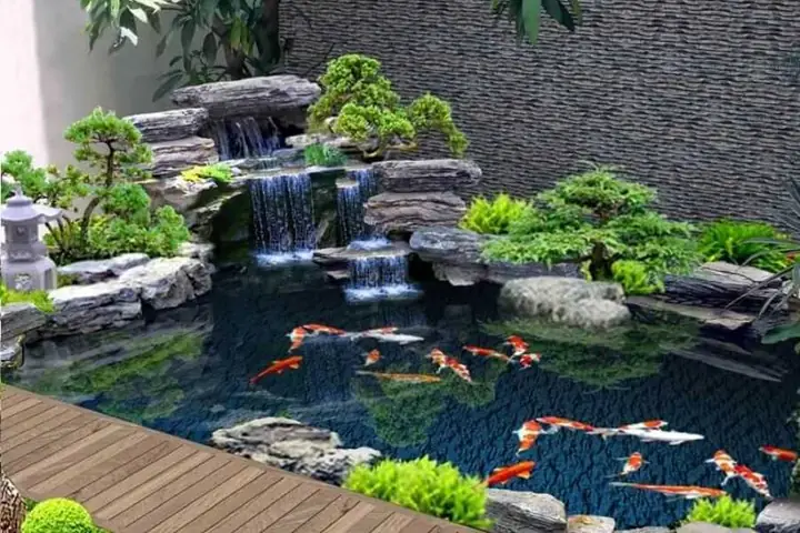 15 Loại Cây Trồng Trong Hồ Cá Ngoài Trời Đẹp và Dễ Chăm Sóc