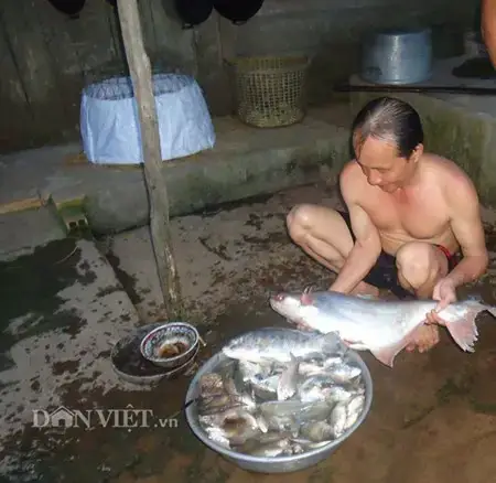 Chài Cá Miền Tây: Kỹ Thuật Đánh Bắt Và Giá Trị Văn Hóa Đặc Trưng Chài Cá Miền Tây: Kỹ Thuật Đánh Bắt Và Giá Trị Văn Hóa Đặc Trưng