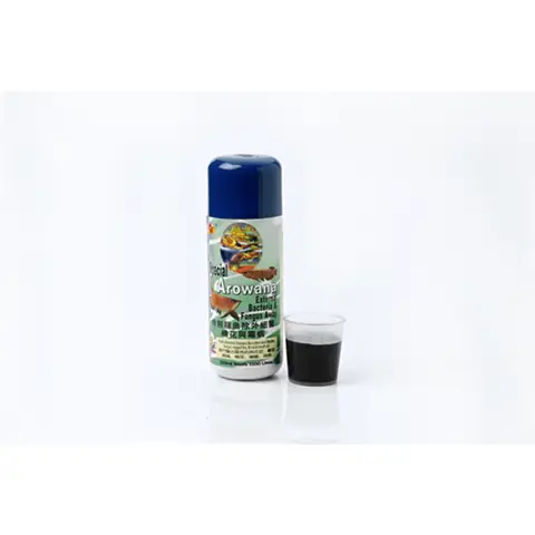 Chai Số 3 Cho Cá Rồng: Hướng Dẫn Điều Trị Bệnh Hiệu Quả