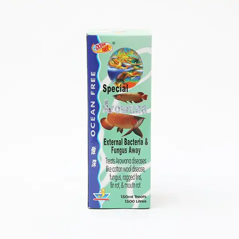 Chai Số 3 Cho Cá Rồng: Hướng Dẫn Điều Trị Bệnh Hiệu Quả
