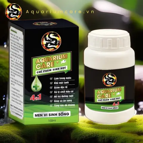 Chai Vi Sinh Hồ Cá: Hướng Dẫn Toàn Diện Để Duy Trì Bể Thủy Sinh Khỏe Mạnh