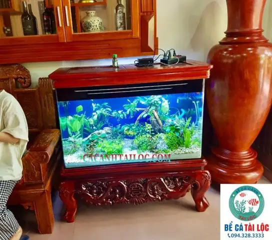 Chân Gỗ Bể Cá MDF: Hướng Dẫn Chi Tiết Từ A Đến Z