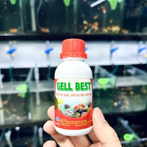 Chất Kết Dính Thức Ăn Cá: Hướng Dẫn Chi Tiết và Lợi Ích Bất Ngờ
