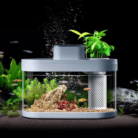 Tuyển Chọn Các Mẫu **Chậu Cá Cảnh Đẹp**: Hướng Dẫn Toàn Diện