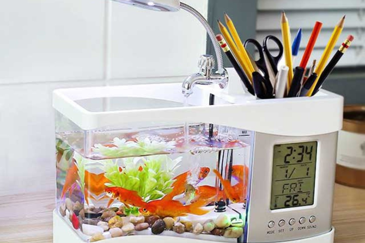 Chậu cá cảnh mini để bàn 3 trong 1 đa năng