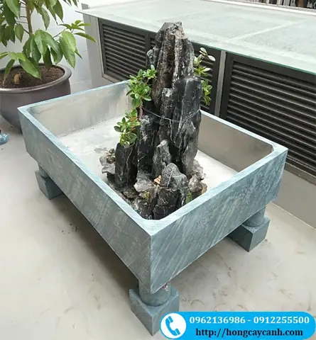 Hướng Dẫn Toàn Diện Về Chậu Cây Cảnh Nuôi Cá Cho Người Mới Bắt Đầu