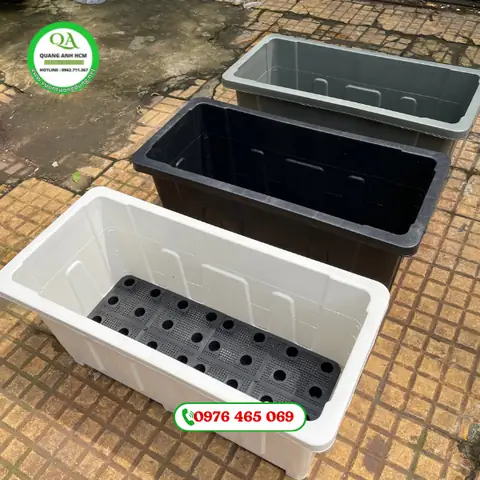 Hướng Dẫn Toàn Diện Về Chậu Nhựa Chữ Nhật Nuôi Cá