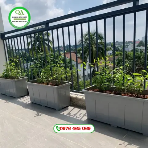 Hướng Dẫn Toàn Diện Về Chậu Nhựa Chữ Nhật Nuôi Cá