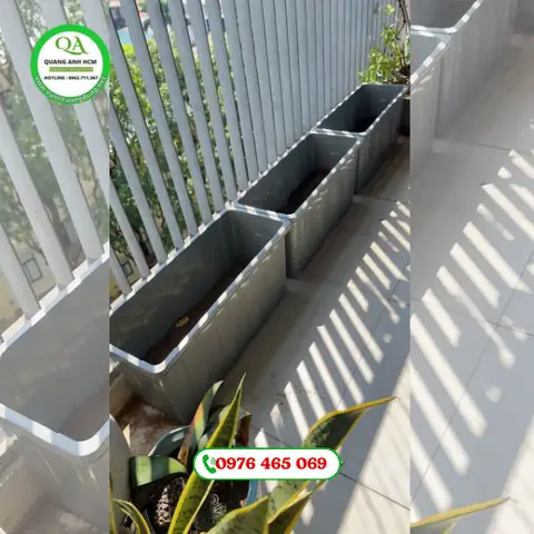 Hướng Dẫn Toàn Diện Về Chậu Nhựa Chữ Nhật Nuôi Cá
