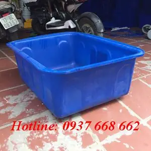 Chậu nhựa nuôi cá cảnh: Hướng dẫn chọn và chăm sóc đúng cách