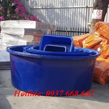 Chậu nhựa nuôi cá cảnh: Hướng dẫn chọn và chăm sóc đúng cách