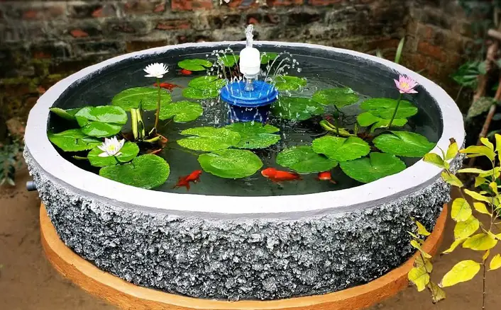 Chậu Nuôi Cá Đẹp: Hướng Dẫn Lựa Chọn & Thiết Kế Hồ Cá Mini Tại Nhà
