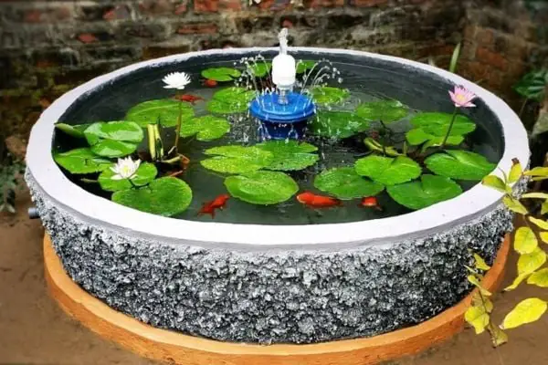 chậu nuôi cá ngoài trời