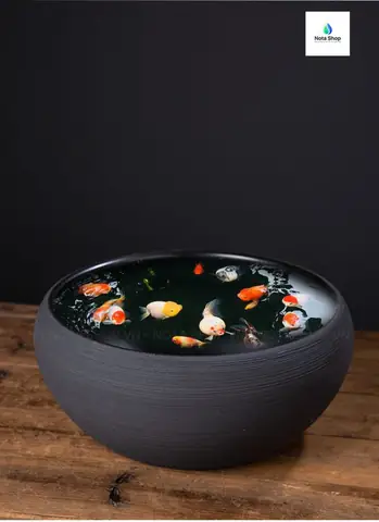 Bộ Sưu Tập Chậu Nuôi Cá Gốm Sứ