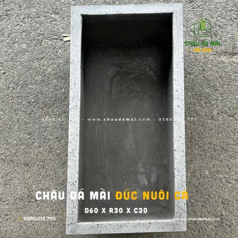Chậu Xi Măng Chữ Nhật Nuôi Cá: Hướng Dẫn Toàn Diện Từ A-Z