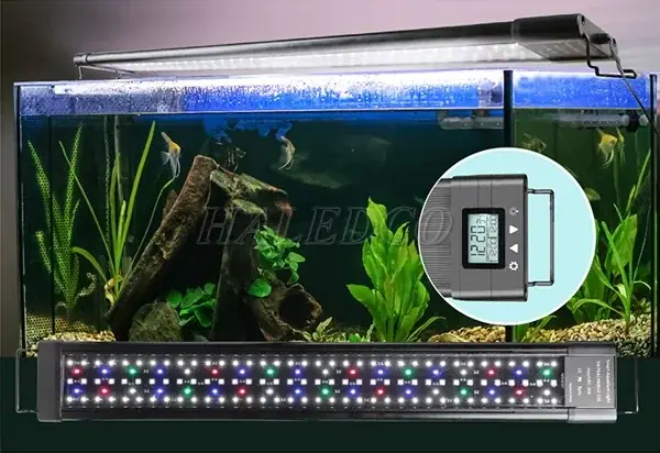 Hướng Dẫn Chi Tiết Cách Tự Chế Đèn LED Cho Bể Cá Cảnh
