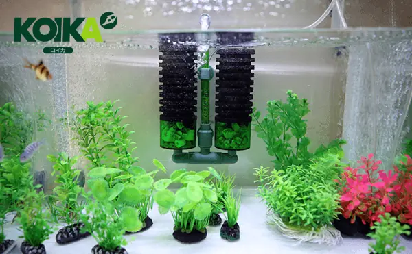 Hướng dẫn chi tiết cách chế hút đáy bể cá hiệu quả