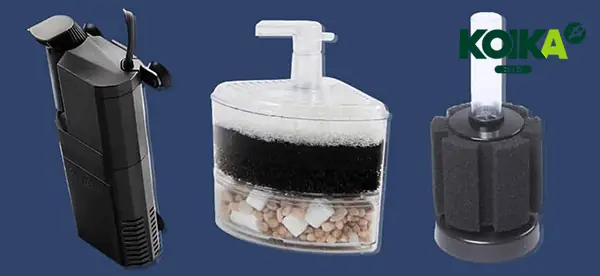 Hướng dẫn chi tiết cách chế hút đáy bể cá hiệu quả