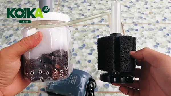 Hướng Dẫn Chi Tiết Cách Chế Lọc Vi Sinh Cho Bể Cá Hiệu Quả