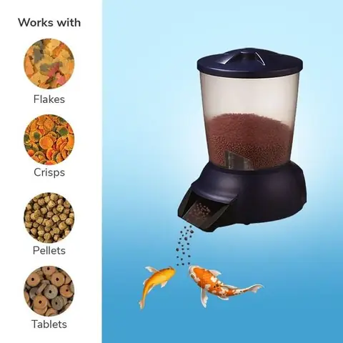 Hướng Dẫn Chi Tiết Chế Máy Cho Cá Ăn Tự Động Tại Nhà