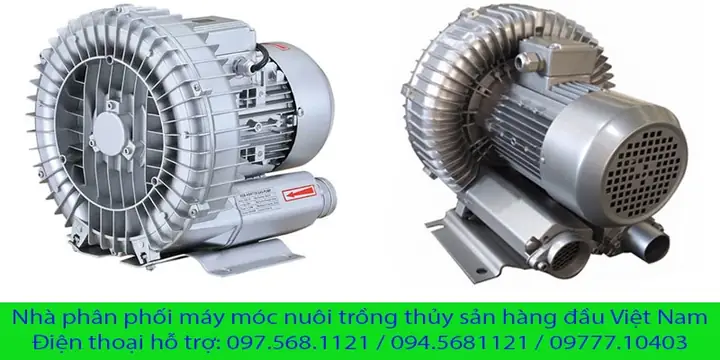Chế Máy Tạo Oxy Cho Hồ Cá: Hướng Dẫn Chi Tiết Từ A Đến Z