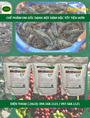 Chế phẩm EM gốc dạng bột tốt nhất