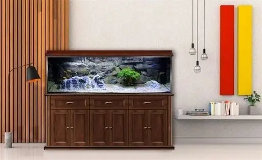 Chiều Cao Chân Bể Cá: Hướng Dẫn Chọn Kích Thước Tối Ưu