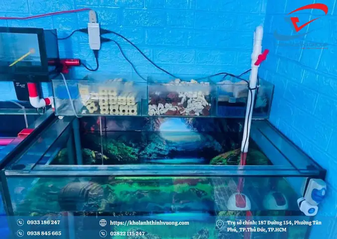 chiller hồ cá mini