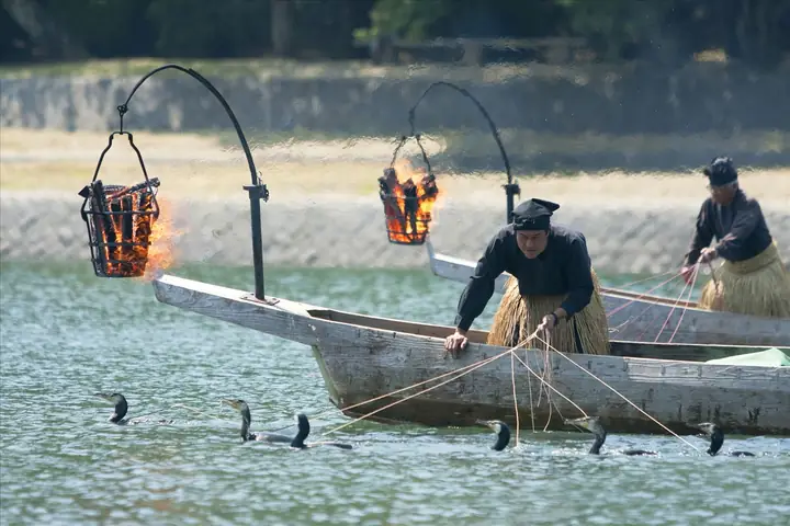 Chim Cốc Bắt Cá: Kỹ Thuật Đánh Bắt Độc Đáo và Ý Nghĩa Văn Hóa