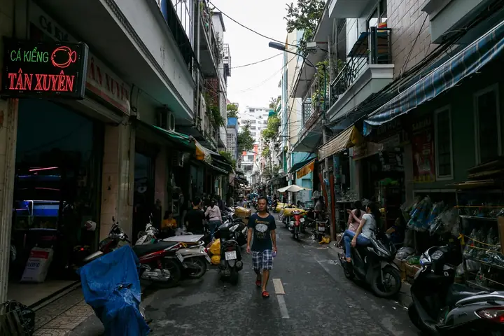 Hướng dẫn tìm chợ bán cá cảnh uy tín và đa dạng loài