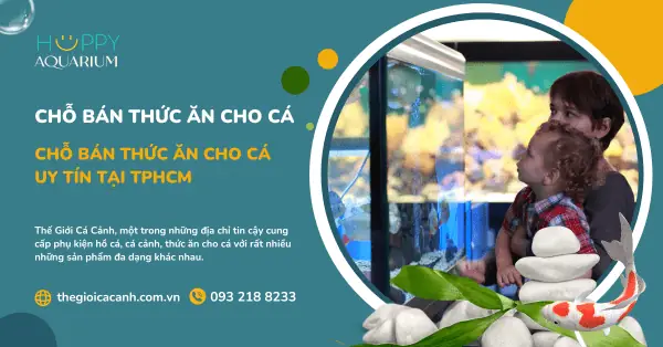 Top 5 Chỗ Bán Cá Xiêm ở TPHCM Chất Lượng, Uy Tín