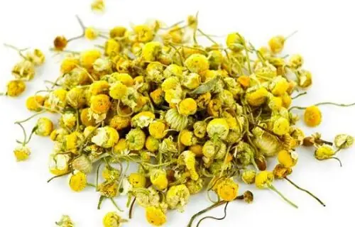 Top 5 Chỗ Bán Cá Xiêm ở TPHCM Chất Lượng, Uy Tín