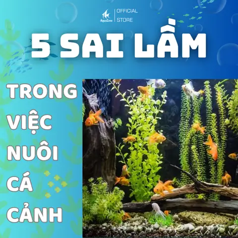 Cho Cá Ăn Quá Nhiều: Hậu Quả Khôn Lường Và Giải Pháp Hiệu Quả