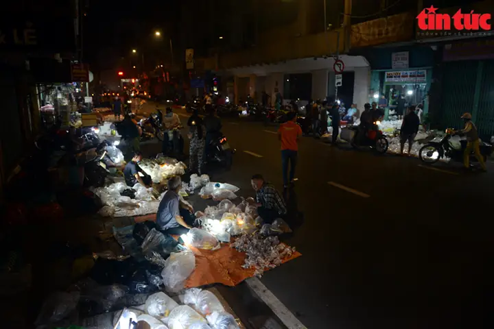 chợ cá cảnh sài gòn