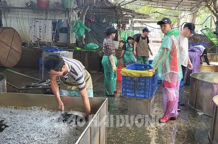 Chợ Cá Hải Dương có gì đặc biệt? Thông tin chi tiết cho người yêu cá