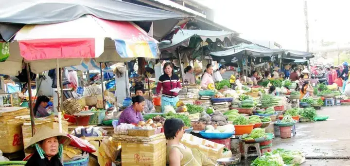 Khám Phá Chợ Cá Hòa Bình: Hướng Dẫn Chi Tiết Về Thủy Sản & Trải Nghiệm