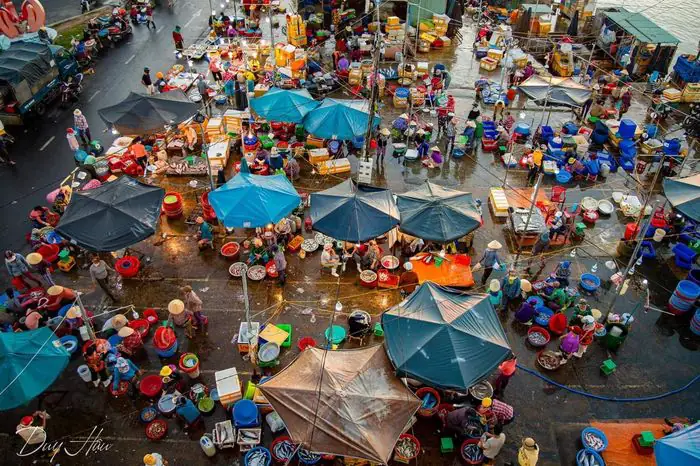 Chợ Cá Hội An: Khám phá và kinh nghiệm mua hải sản tươi ngon tại Thanh Hà