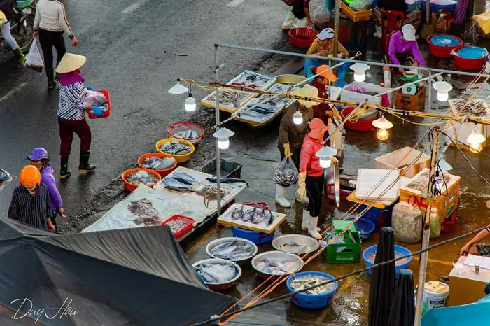 Chợ Cá Hội An: Khám phá và kinh nghiệm mua hải sản tươi ngon tại Thanh Hà