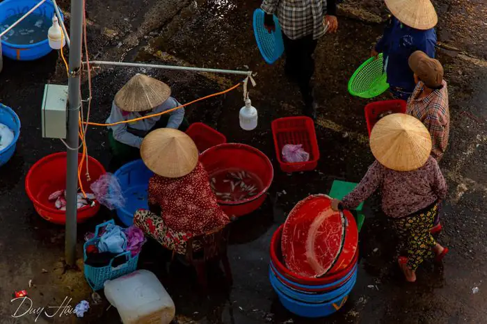 Chợ Cá Hội An: Khám phá và kinh nghiệm mua hải sản tươi ngon tại Thanh Hà