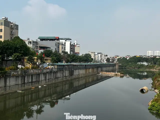Chợ Cá La Khê: Cẩm Nang Chi Tiết Từ A Đến Z Cho Người Mới